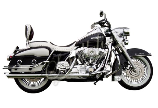 2003 road king online hard bags