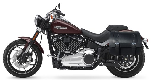 Softail with deals hard bags