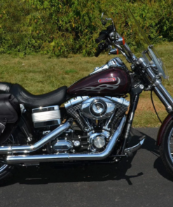 1001FXDS- Saddleline Harley-Davidson Dyna FXDS Convertible Saddlebags With Quick Disconnect Mounts.