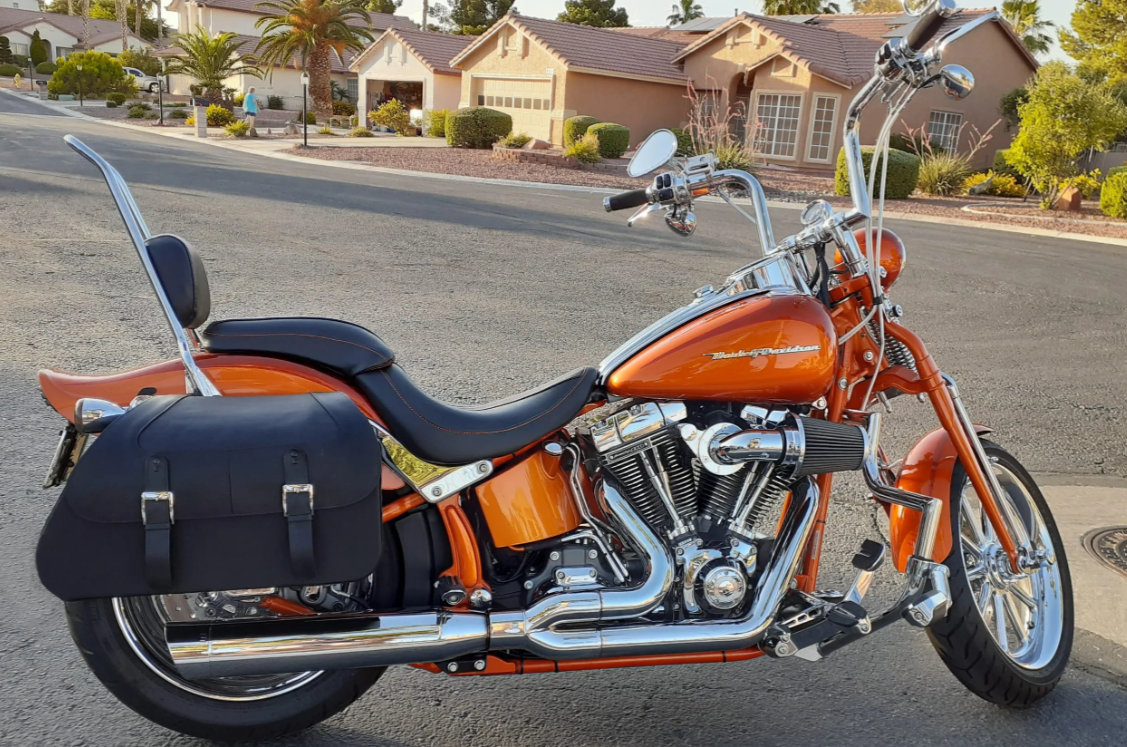580F- Saddleline Harley-Davidson Softail Springer FXSTS & FXSTSI Saddlebags With Quick detaching Mounting Hardware.