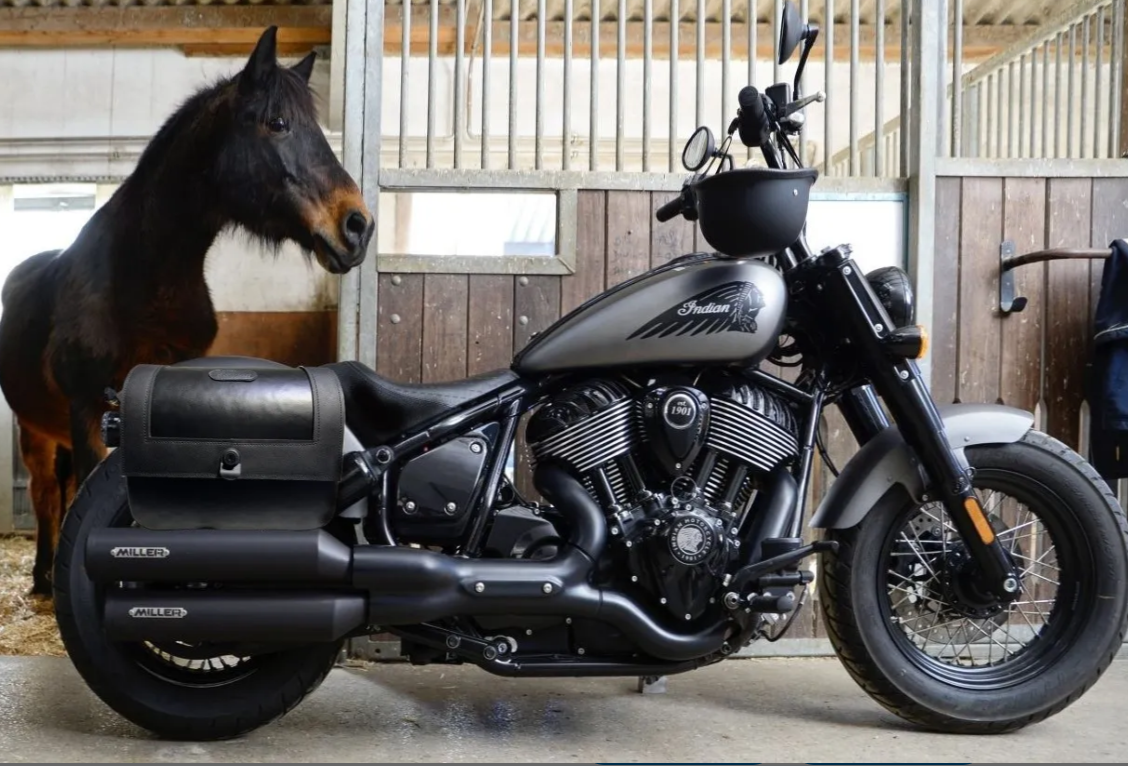 518L- Saddleline Indian Chief Bobber Dark Horse Saddlebags in Leather & Hard Body With Quick detach mounting Brackets.